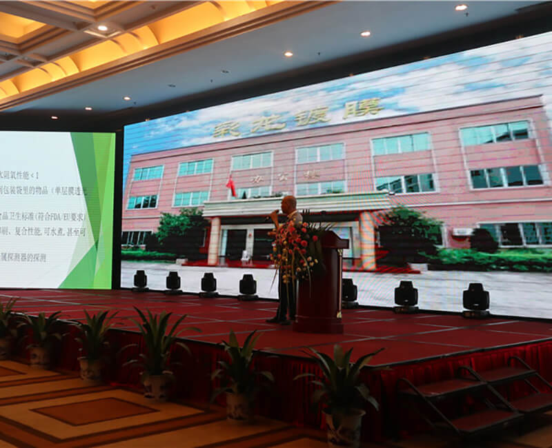 彩龙公司创始人林总发表讲话