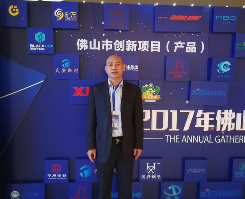 2017年佛山市创新项目